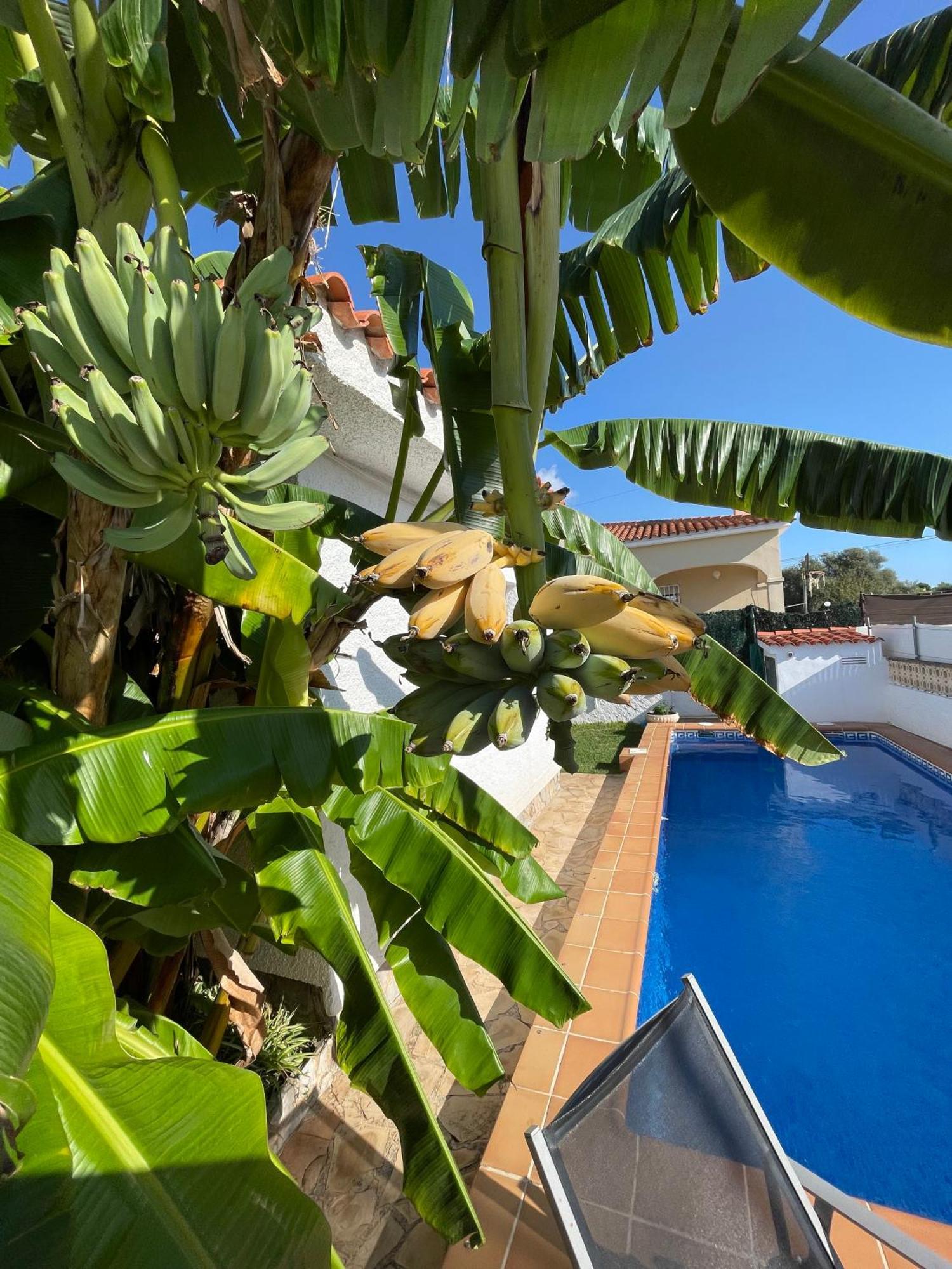 Villa Juani Vinarós Exterior foto